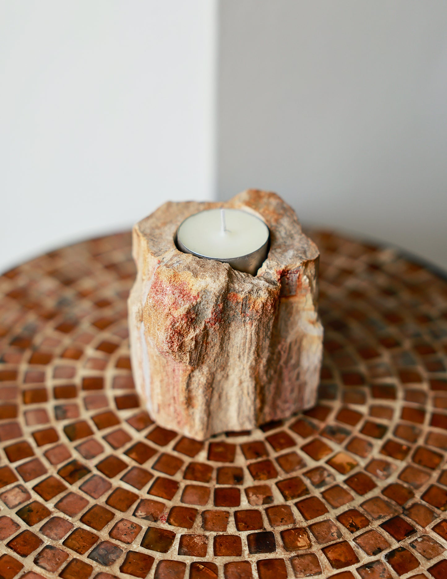 Petrified Wood Candle Holder - Single Low