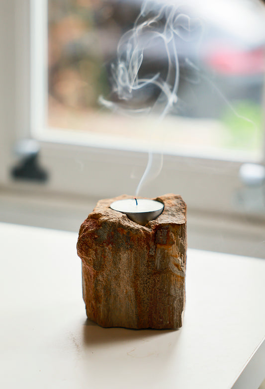 Petrified Wood Candle Holder - Single Low